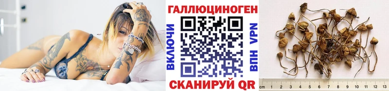 Псилоцибиновые грибы Psilocybine cubensis  где купить наркотик  Верхняя Пышма 